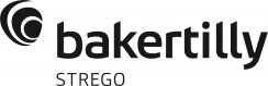 Logo Bakertilly Strego